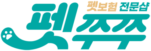 펫쭈쭈