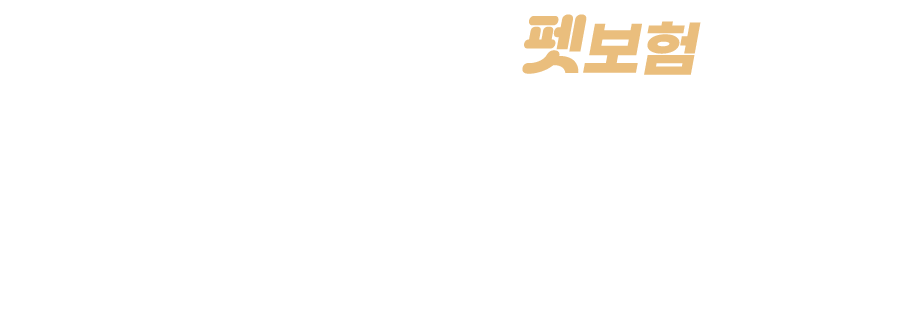 펫쭈쭈